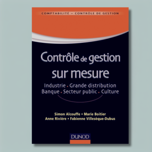 Contrôle de gestion sur mesure : Industrie, grande distribution, banque, secteur public, culture